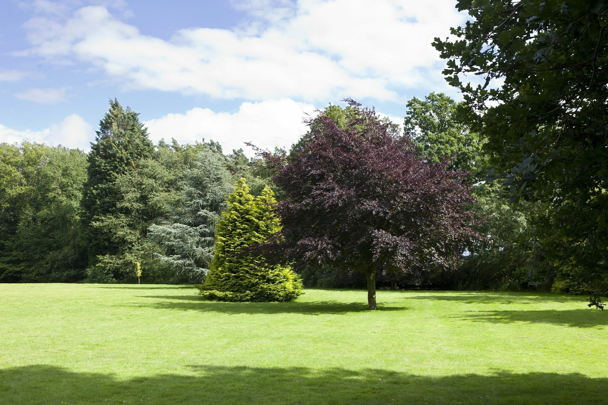 Audleys Wood Hotel, 베이싱스토크 외부 사진